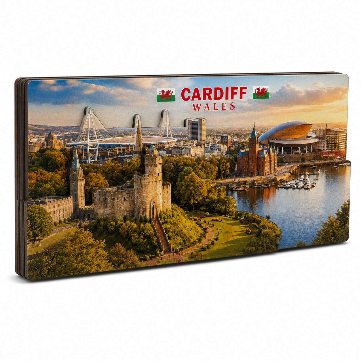 Cardiff City Landscape Rectangular MDF Magnet