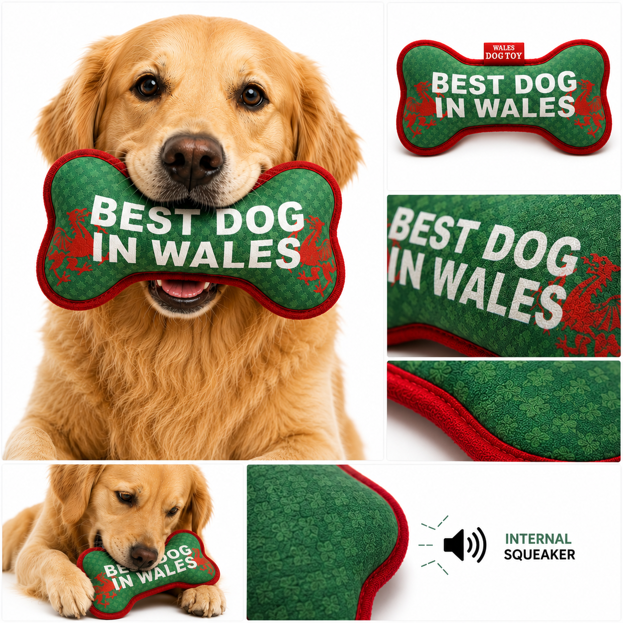 Best Dog in Wales Squeaky Dog Toy