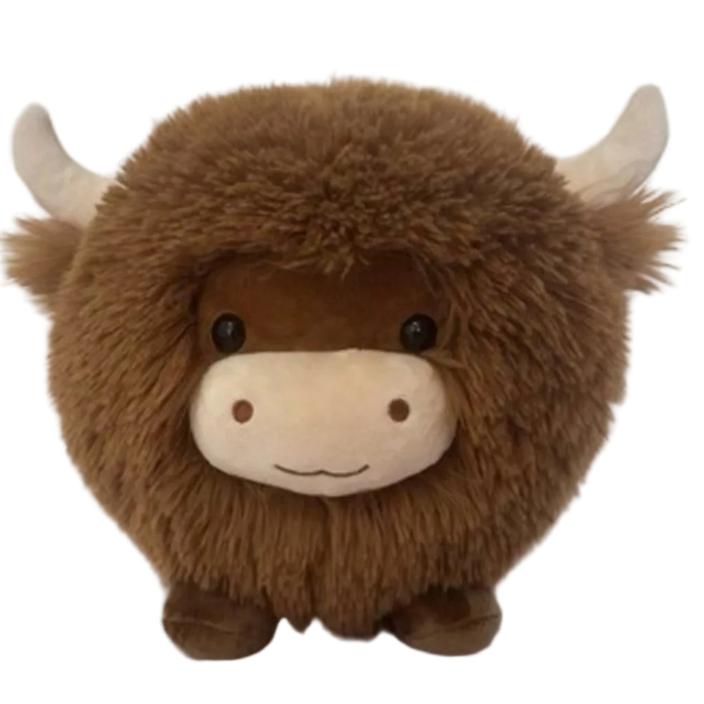 Highland Round Cow