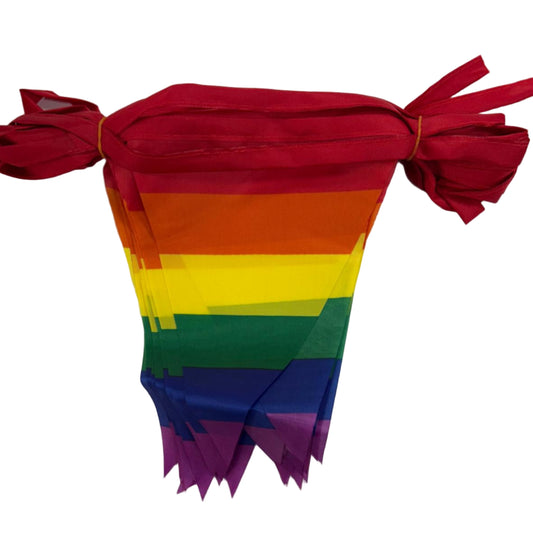 Rainbow Bunting 10m