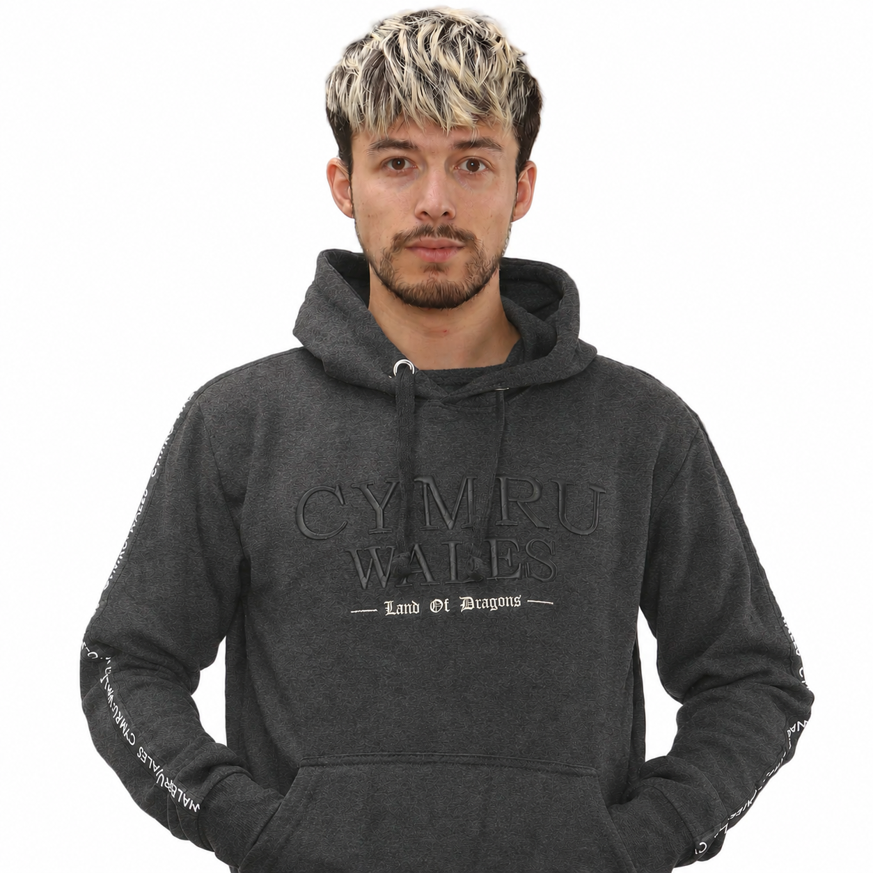 New Land of Dragons Hoodie