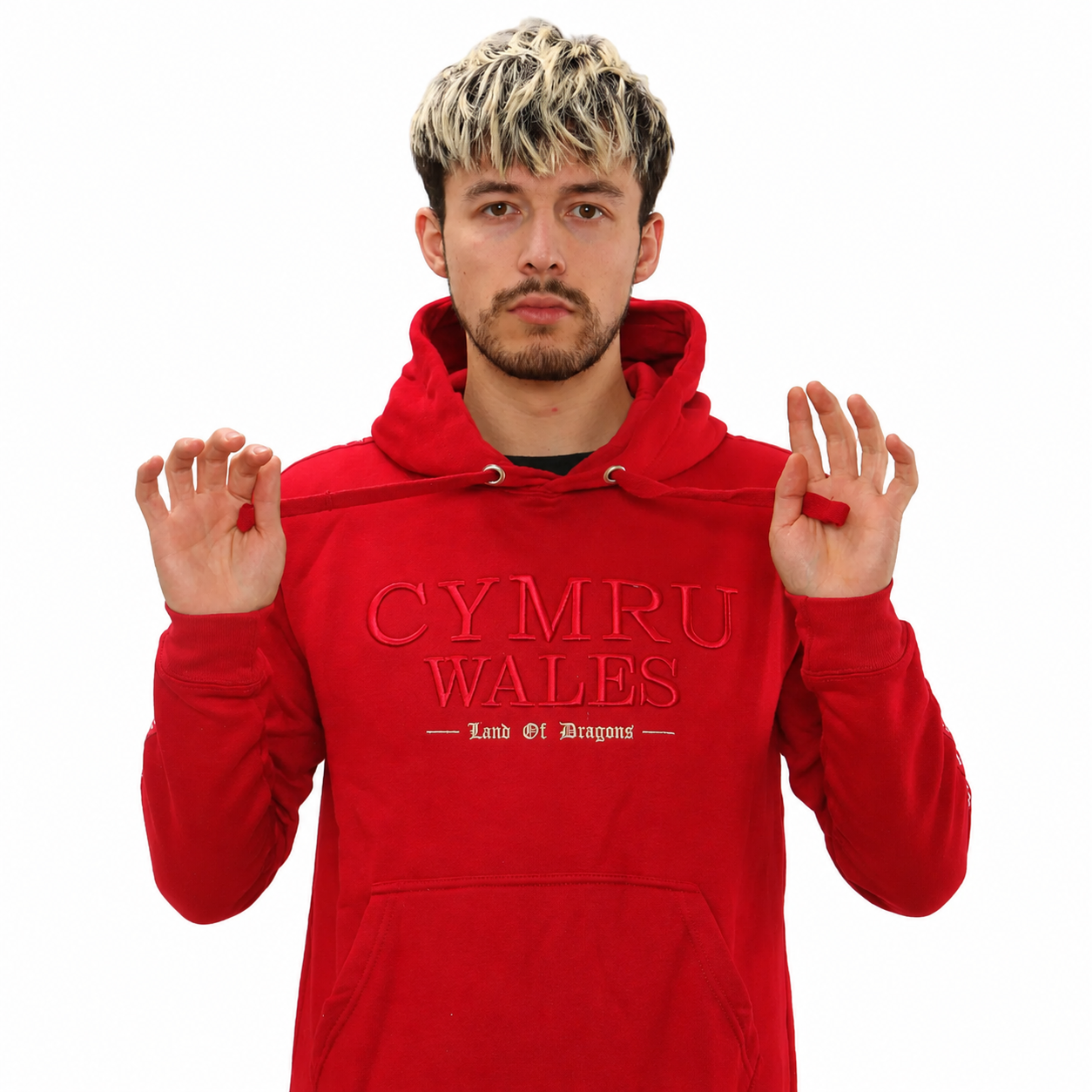New Land of Dragons Hoodie