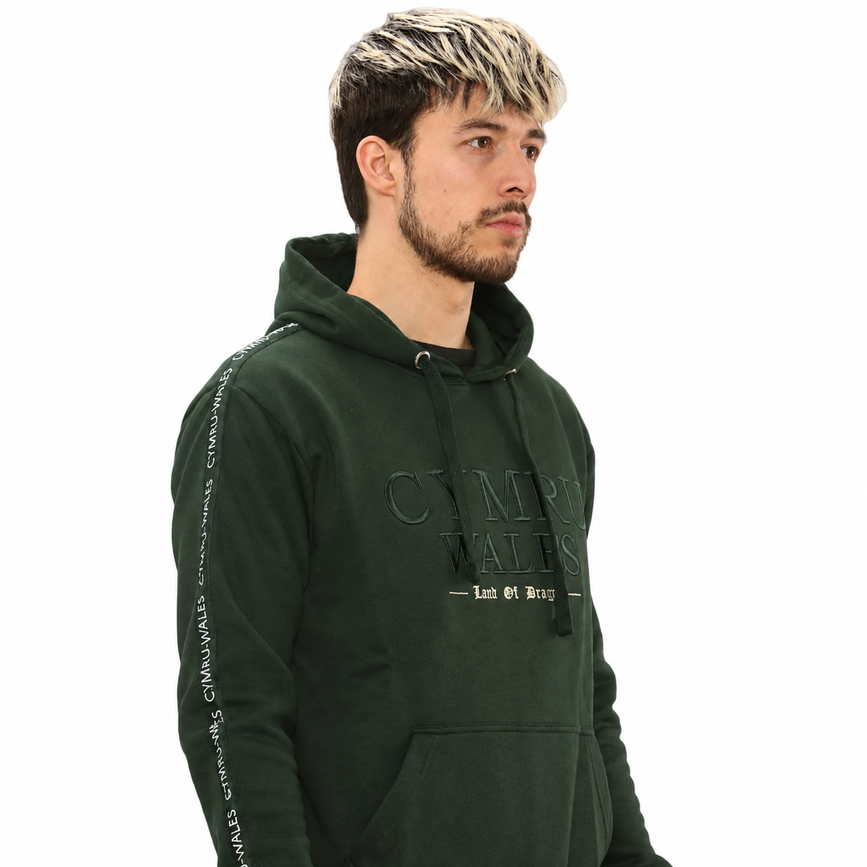 New Land of Dragons Hoodie
