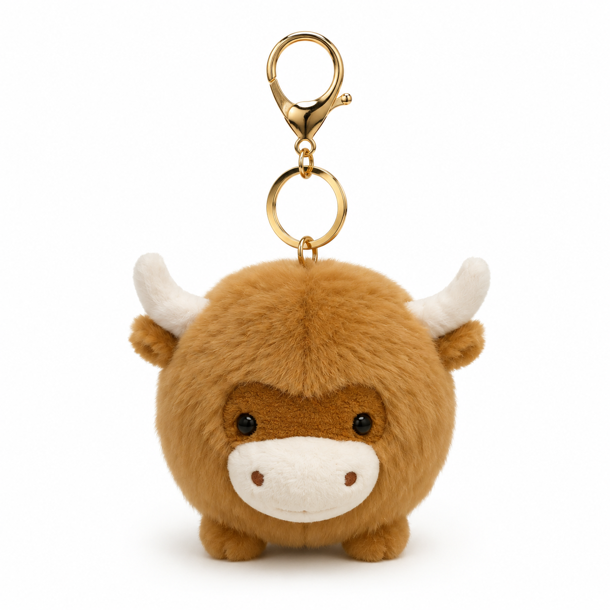 Highland Round Cow