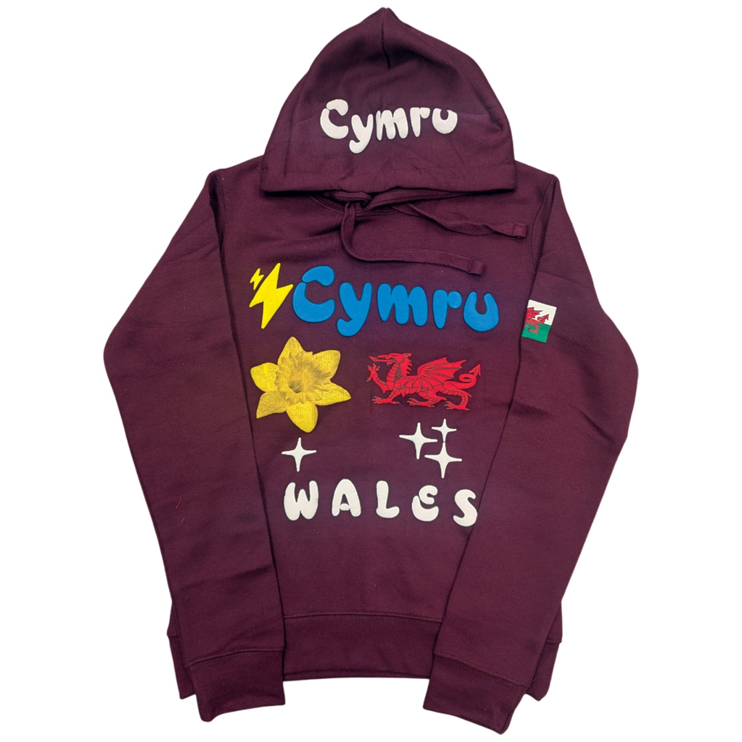 Puff Print Welsh Hoodie