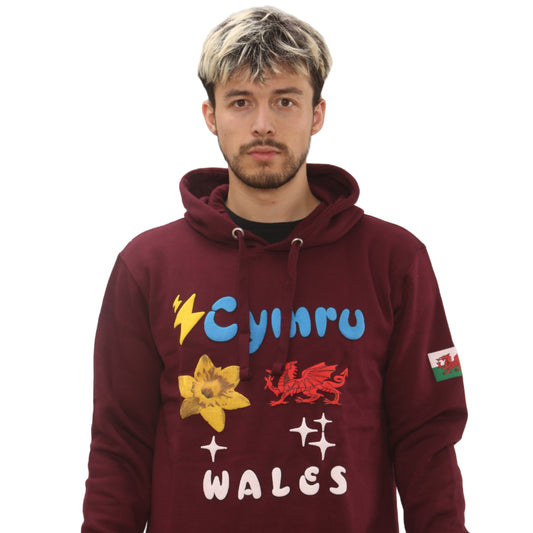 Puff Print Welsh Hoodie