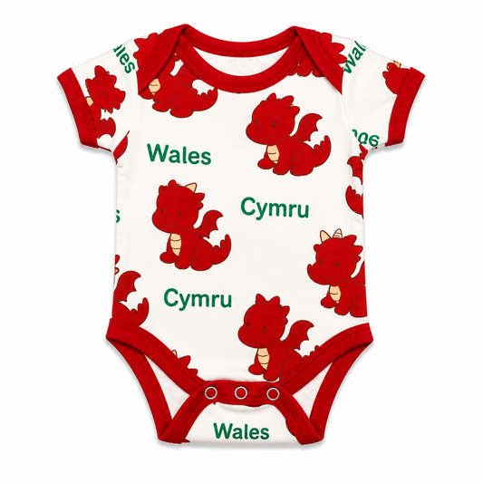 Babies Dragon Nappy T