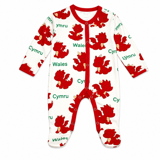Babies Dragon Sleepsuit