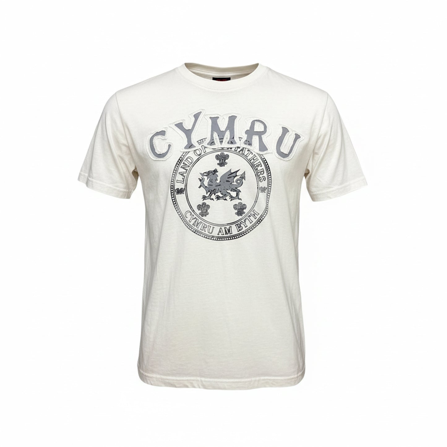 Land Of My Fathers T-Shirt