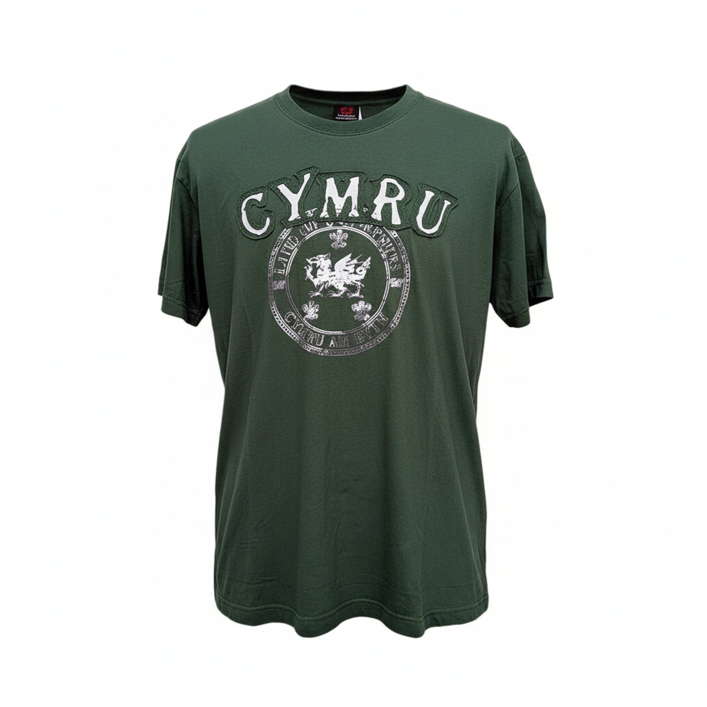 Land Of My Fathers T-Shirt