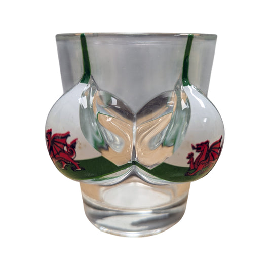 Wales Flag Boobs Bikini Top Shot Glass