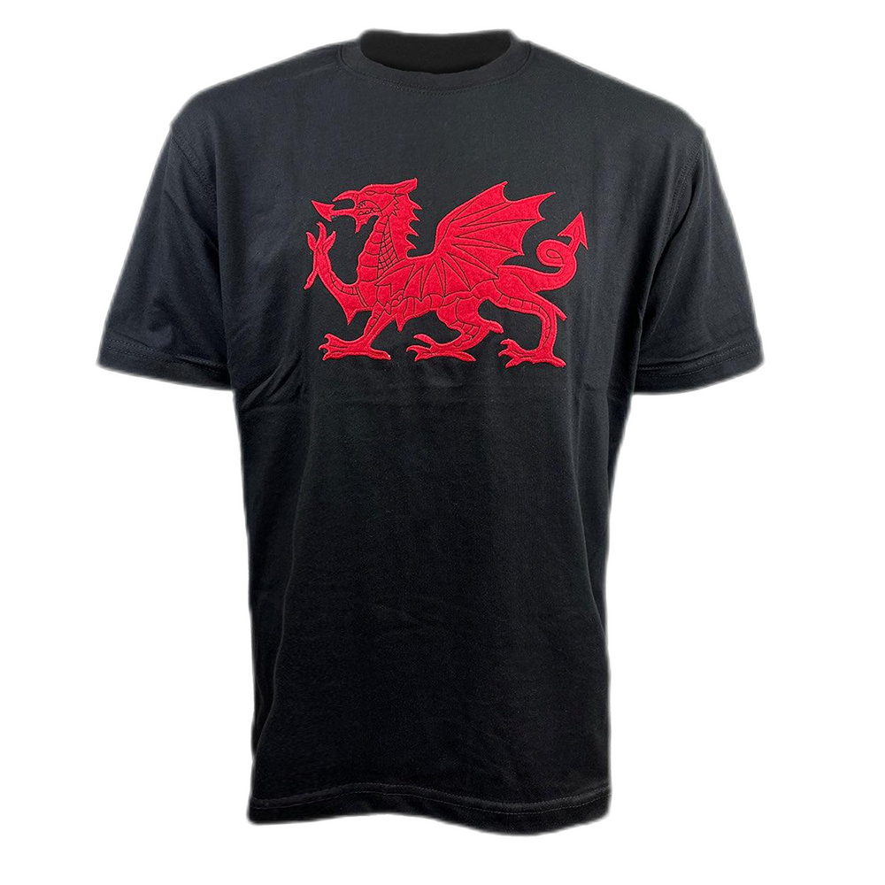 Applique Dragon T-Shirt
