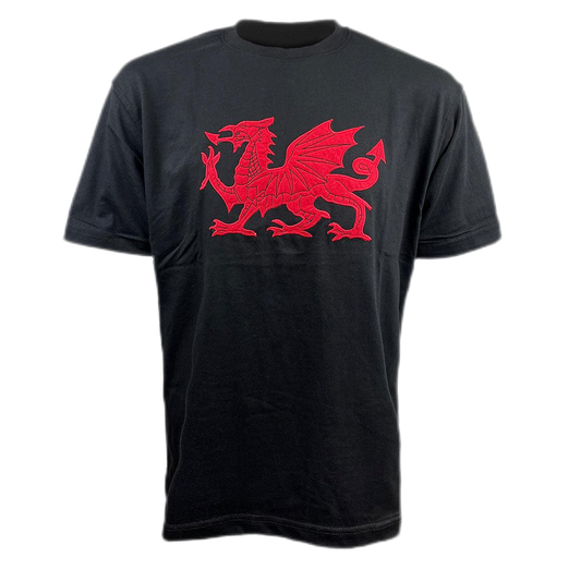 Applique Dragon T-Shirt